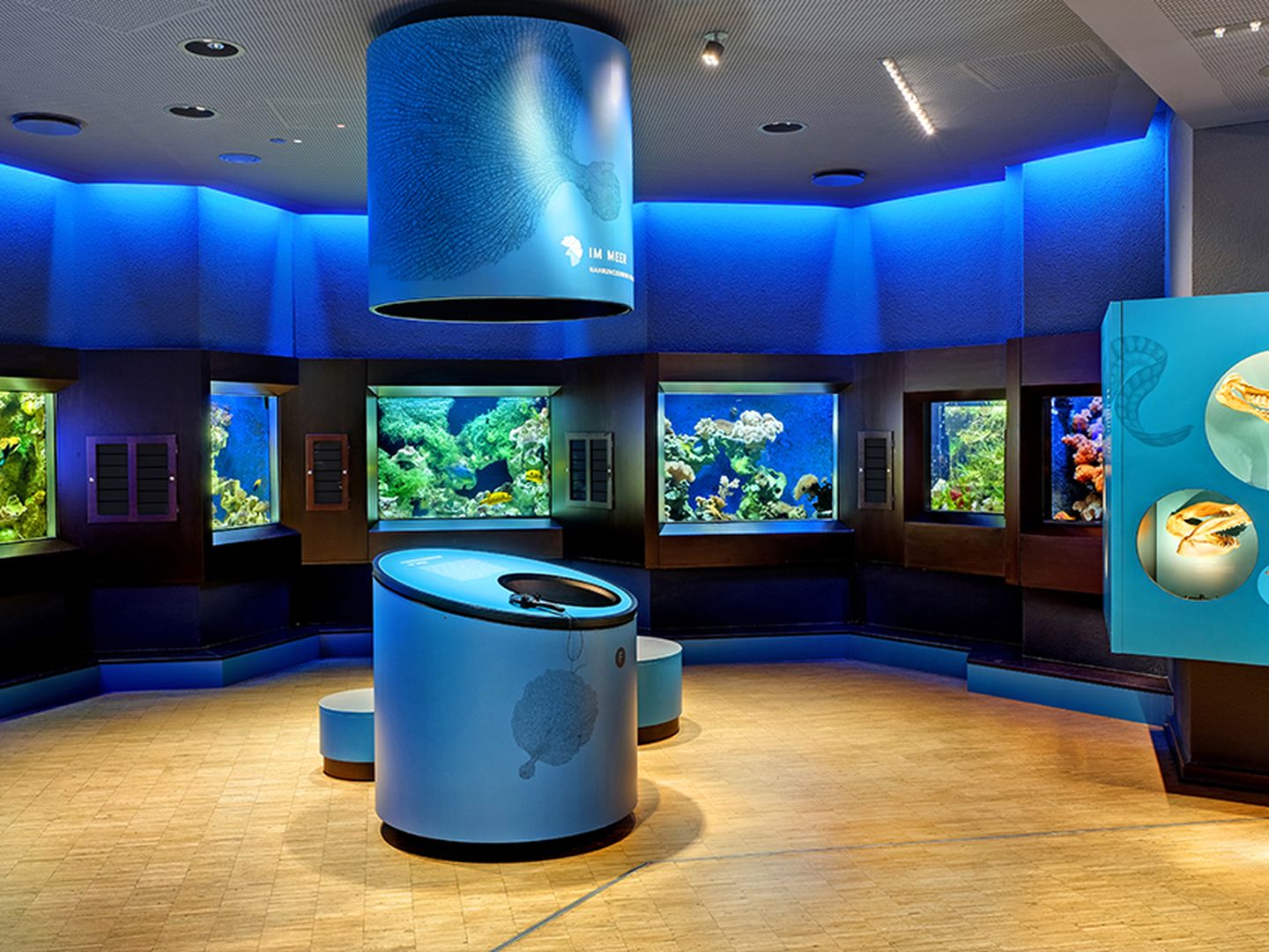 Luxus Aquazoo Dusseldorf Offnungszeiten Ebenbild